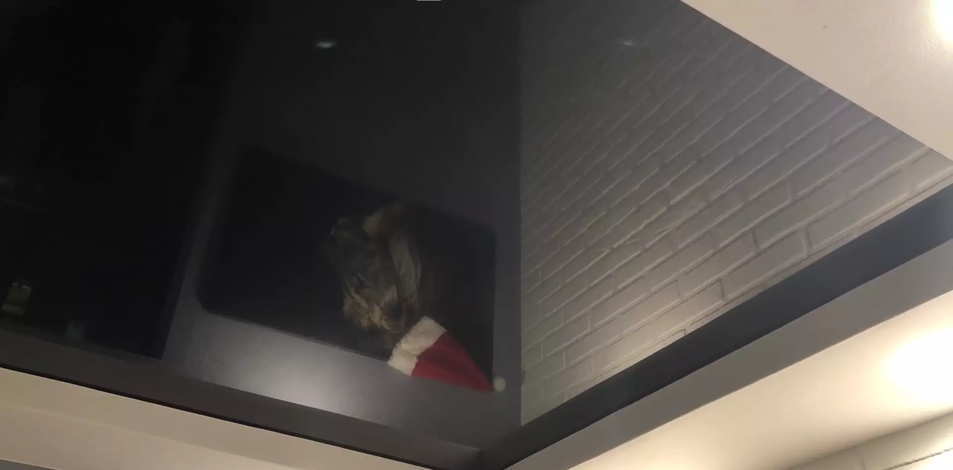 Орск, Домбаровская улица, 36, фото 3