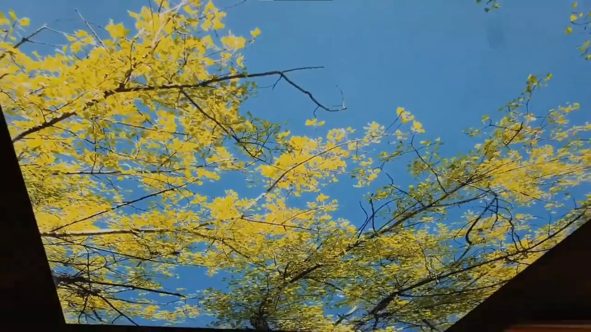 Орск, , фото 2